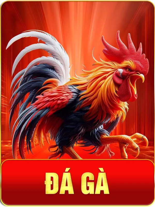 Đá gà 8KBET