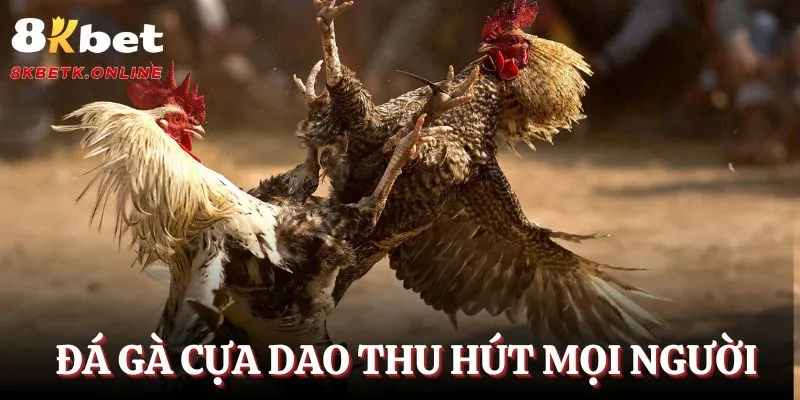 Khám Phá Thế Giới Cá Cược Trực Tuyến Với Tải Hit Club - Điểm Đến Lý Tưởng Cho Những Trải Nghiệm Hấp Dẫn