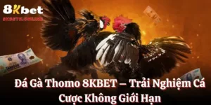 Đá Gà Thomo