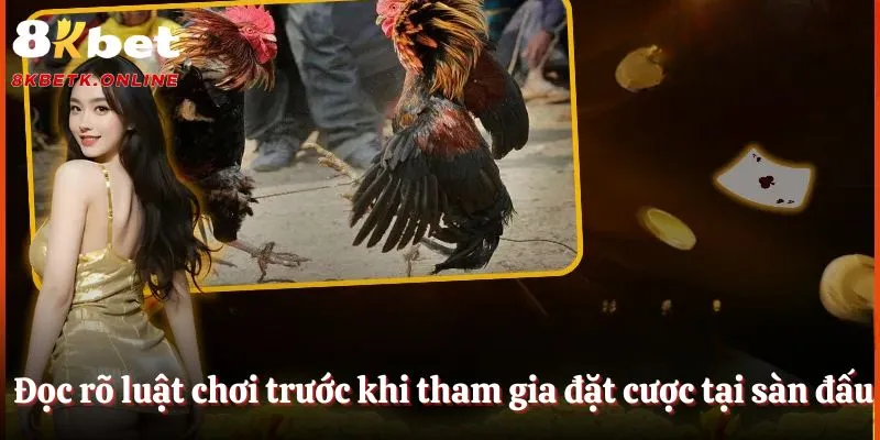 Đọc rõ luật chơi trước khi tham gia đặt cược tại sàn đấu