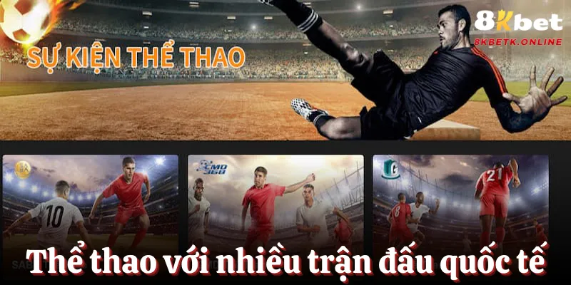 Tham gia thể thao với nhiều trận đấu quy mô quốc tế
